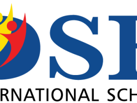 DSB International School