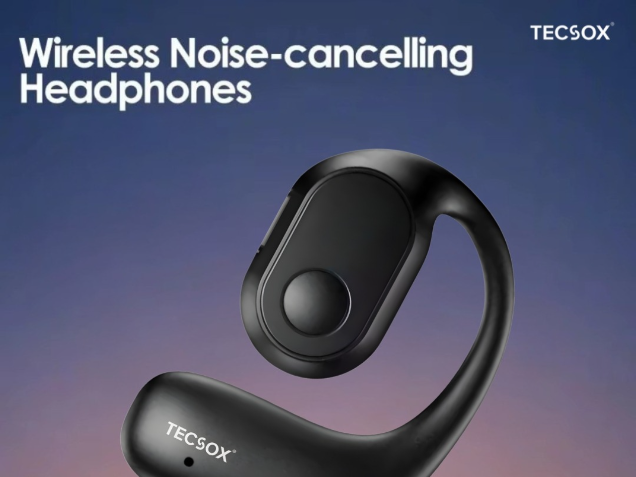 TecSox Zen Earbud