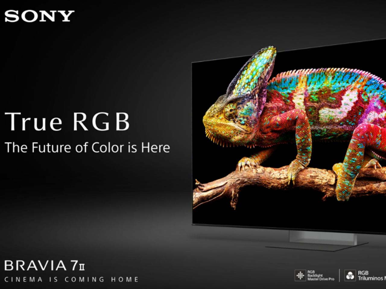 Sony BRAVIA 7II